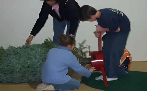 Children setting up a tree in the stand, step 5
